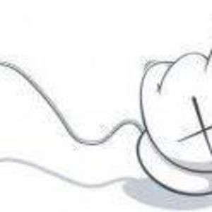 Meet your Posher, Roberto